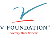 V-Foundation